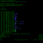 Linux command line bash GNOME Terminal screenshot clear screen